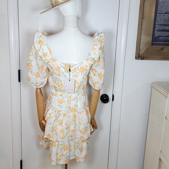 Adelyn Rae Embroidered Floral Dress M Cottagecore Ruffle Mini - Picture 8 of 12